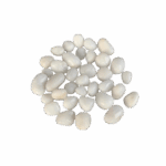 Fish Stone (ریگ ماہی)<br>(50g)